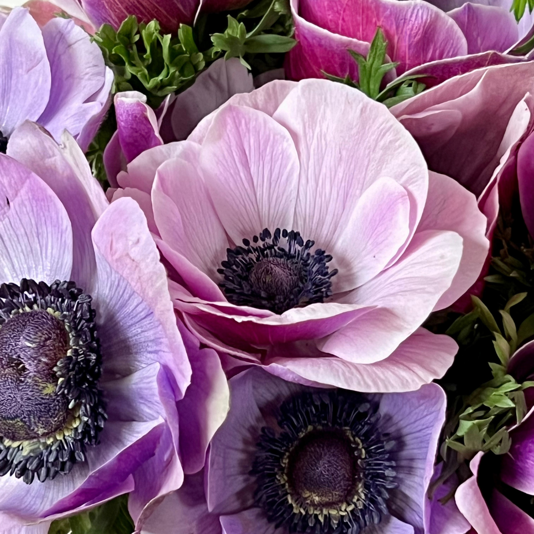 3 Month Floral Subscription - Petite (Spring)